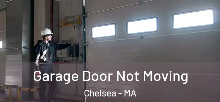  Garage Door Not Moving Chelsea - MA