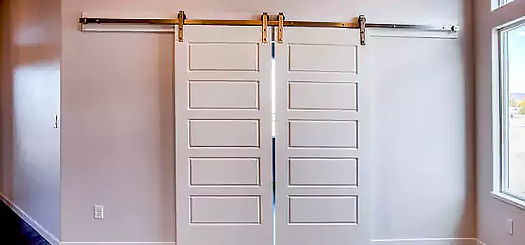 Glass Barn Door with Installation Hardware Kit Chelsea