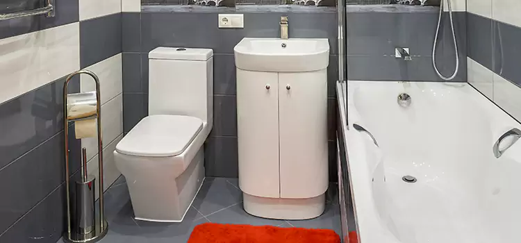 Hansgrohe Shaving Mirror Chelsea