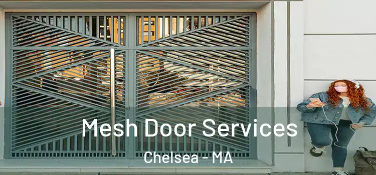 Mesh Door Services Chelsea - MA